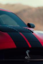 Ford Mustang Shelby GT500 2019 года